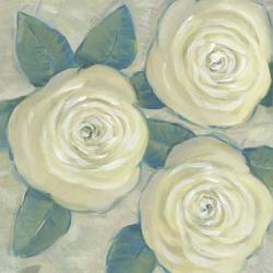 Roses in Bloom II | Obraz na stenu