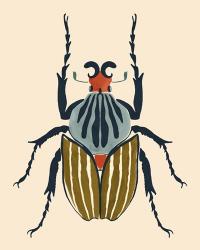 Beetle Bug I | Obraz na stenu