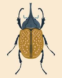 Beetle Bug II | Obraz na stenu