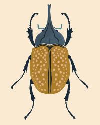 Beetle Bug II | Obraz na stenu