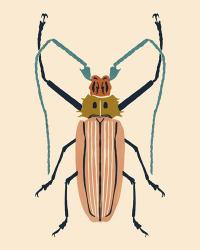 Beetle Bug IV | Obraz na stenu
