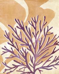Chromatic Sea Tangle II | Obraz na stenu