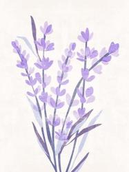 Lavender Land I | Obraz na stenu