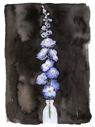 Blue Delphinium II | Obraz na stenu