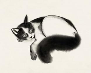 Cat Laze I | Obraz na stenu