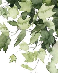 Emerald Vines II | Obraz na stenu