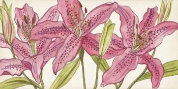 Pink Lilies I | Obraz na stenu