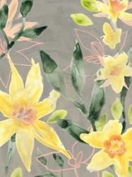 Narcissus Fresco I | Obraz na stenu