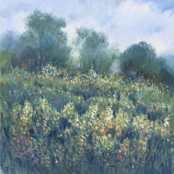 Meadow Wildflowers I | Obraz na stenu