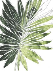 Expressive Palm I | Obraz na stenu