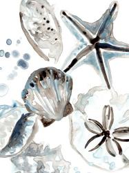 Cerulean Seashells I | Obraz na stenu