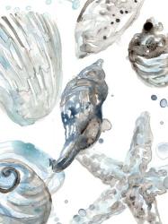 Cerulean Seashells III | Obraz na stenu
