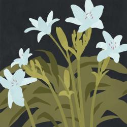 Garden Lilies I | Obraz na stenu