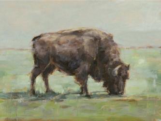 Where the Buffalo Roam I | Obraz na stenu
