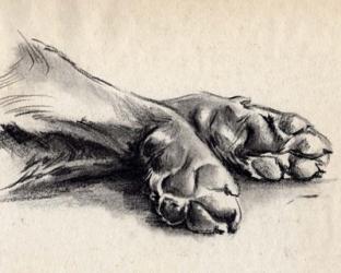 Charcoal Paws II | Obraz na stenu