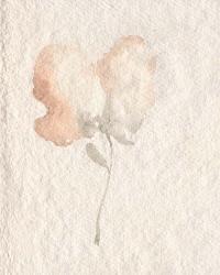 Fleur Petite I | Obraz na stenu