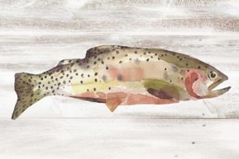 Spotted Trout II | Obraz na stenu