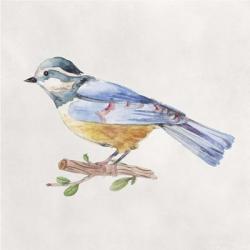 Bird Sketch V | Obraz na stenu