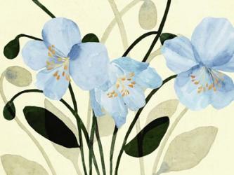 Blue Poppies II | Obraz na stenu