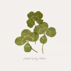 Pressed Clover II | Obraz na stenu