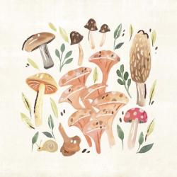 Fungi Field Trip IV | Obraz na stenu