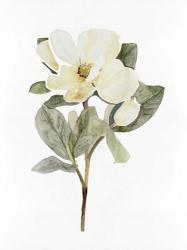 White Blossom VI | Obraz na stenu