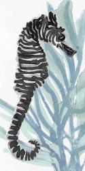 Zebra Seahorse I | Obraz na stenu