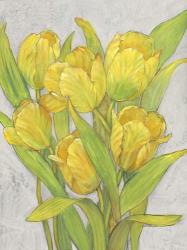 Yellow Tulips I | Obraz na stenu