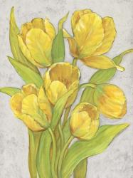 Yellow Tulips II | Obraz na stenu