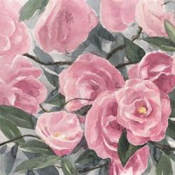 Watercolor Roses I | Obraz na stenu