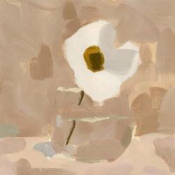 Canary Island Marguerite I | Obraz na stenu