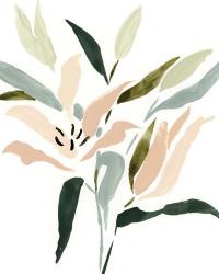 Lily Abstracted II | Obraz na stenu
