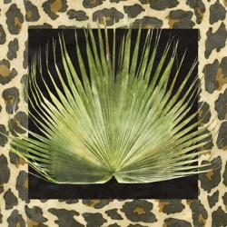 Tropic Collection III | Obraz na stenu