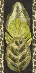 Tropic Collection V | Obraz na stenu