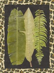Tropic Collection VI | Obraz na stenu