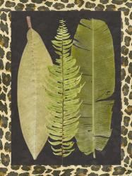 Tropic Collection VII | Obraz na stenu