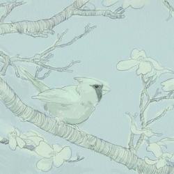 Backyard Bird Sketch I | Obraz na stenu