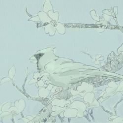 Backyard Bird Sketch II | Obraz na stenu