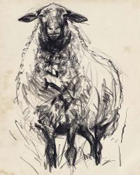 Charcoal Sheep I | Obraz na stenu