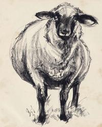 Charcoal Sheep II | Obraz na stenu