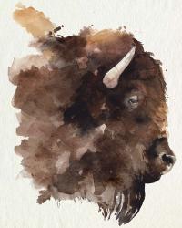 Watercolor Bison Profile I | Obraz na stenu