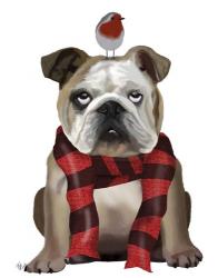 English Bulldog, Scarf and Robin | Obraz na stenu