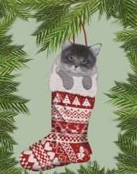 Grey Kitten in Christmas Stocking | Obraz na stenu