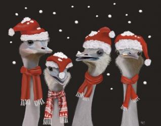 Ostrich, Christmas Gals | Obraz na stenu