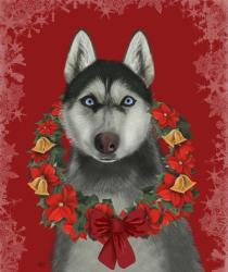 Husky and Poinsettia Wreath | Obraz na stenu