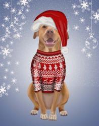 Pitbull in Christmas Sweater | Obraz na stenu