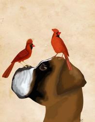 Boxer and Red Cardinals | Obraz na stenu