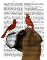 Boxer and Red Cardinals | Obraz na stenu