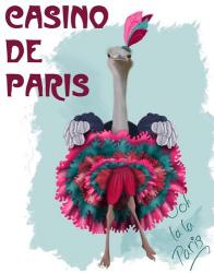 Ostrich, Can Can in Pink and Turquoise | Obraz na stenu