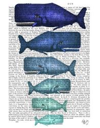 Blue Whale Family | Obraz na stenu